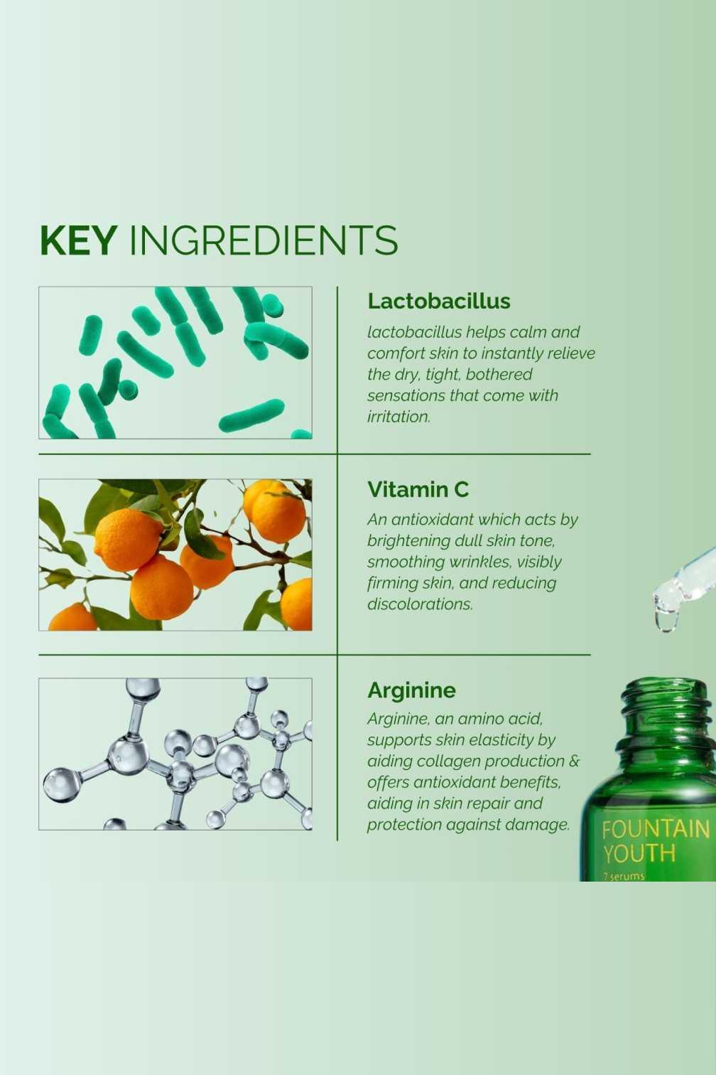 Fountain of Youth 7-in-1 Vitamin product image with key ingredients: lactobacillus, vitamin C, arginine, and visuals of green bottle, citrus, and molecules.