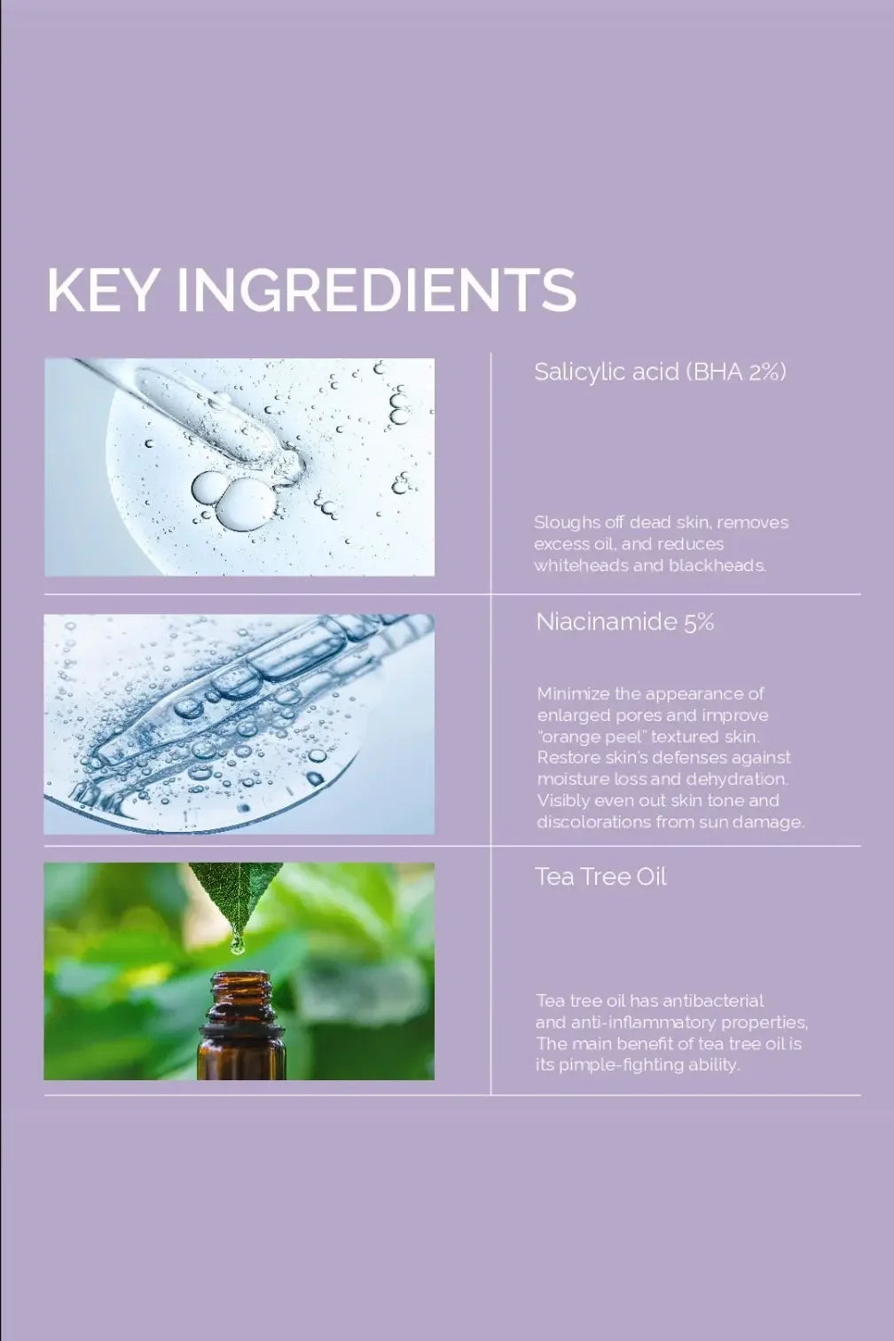 Key ingredients of Porefect Niacinamide Toner with salicylic acid, niacinamide, and tea tree oil.