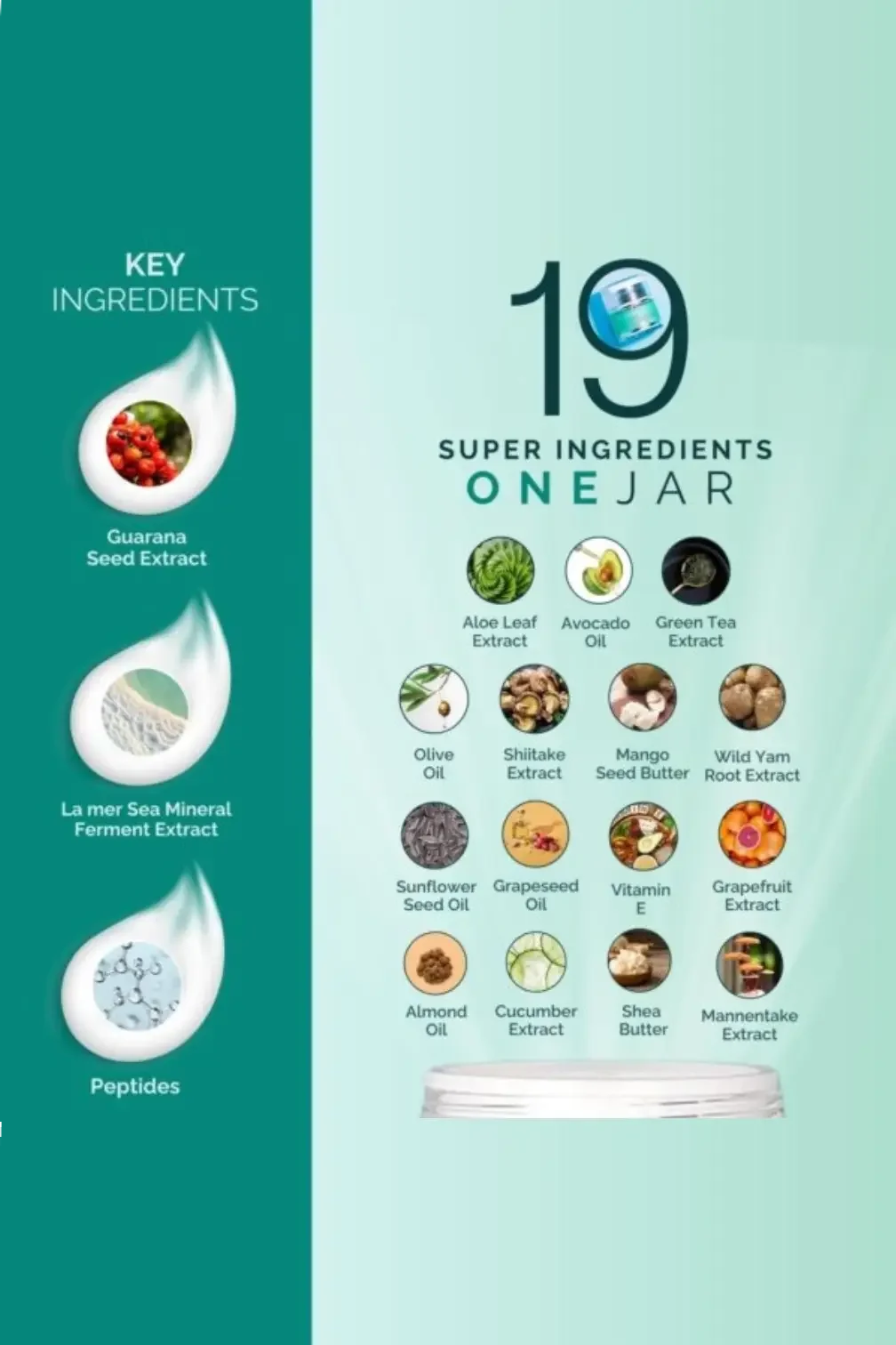 Skincare product infographic showing 19 natural super ingredients and key extracts like guarana, peptides, avocado oil, aloe leaf, and green tea.
