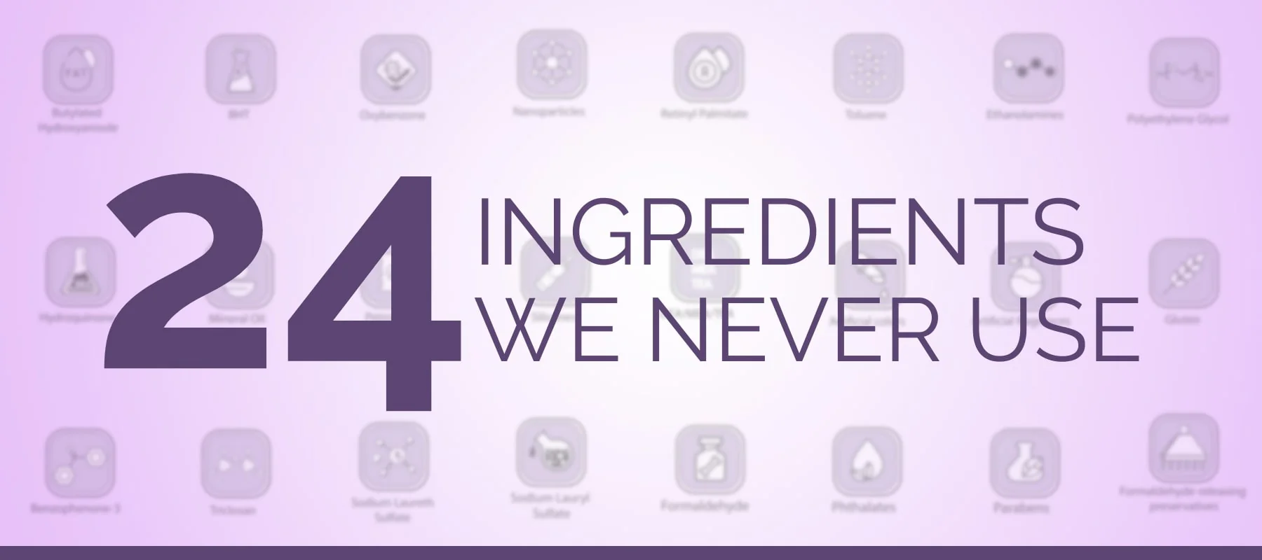 24_Ingredients_Webpage
